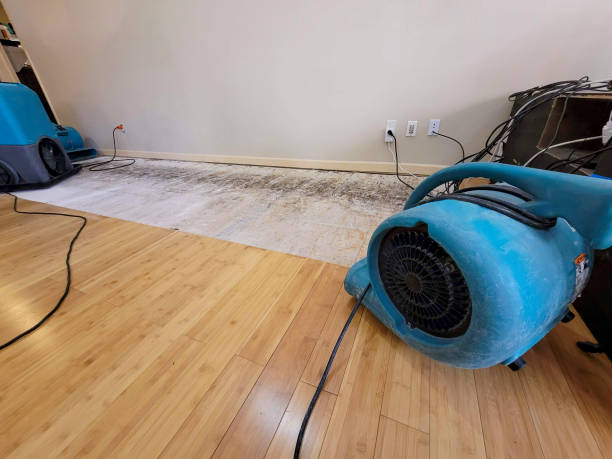 Professional Water Extraction technician working in Pompton Plains, NJ
